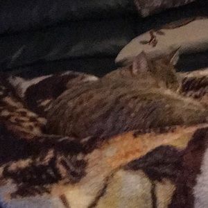 Meet your Posher, Mike